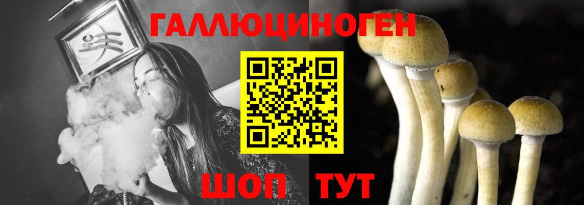 Топки  Галлюциногенные грибы Psilocybine cubensis  Вход с VPN 