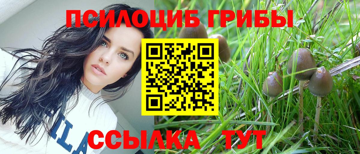 Псилоцибиновые грибы GOLDEN TEACHER Топки
